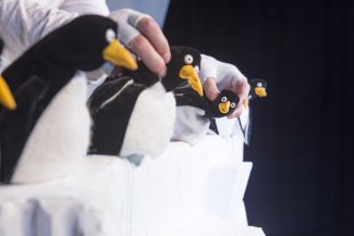 Die Kaiserpinguine mit Namen Maier schauen nach Herrn Müller